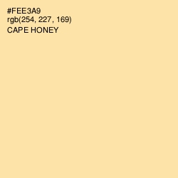 #FEE3A9 - Cape Honey Color Image